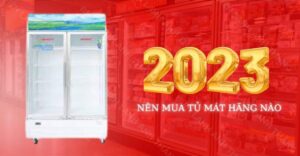 Tủ đông hãng nào tốt 2023 Điện lạnh Anh Thắng