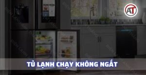 Tủ lạnh chạy không ngắt Điện lạnh Anh Thắng