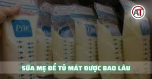 Sữa mẹ để tủ mát được bao lâu Điện lạnh Anh Thắng