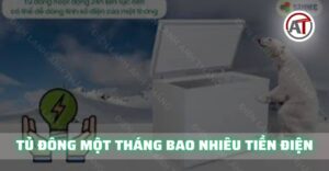 Tủ đông một tháng bao nhiêu tiền điện Điện lạnh Anh Thắng