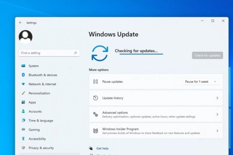 kiểm tra bản cập nhật