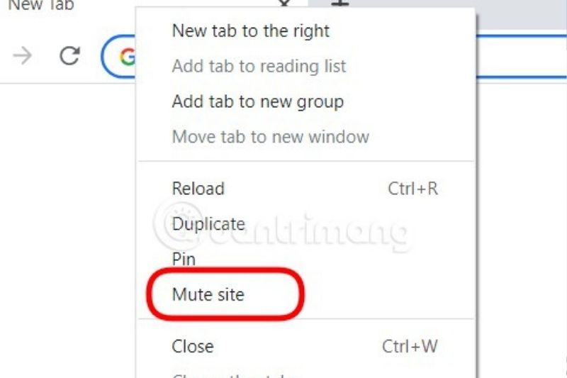 mute site