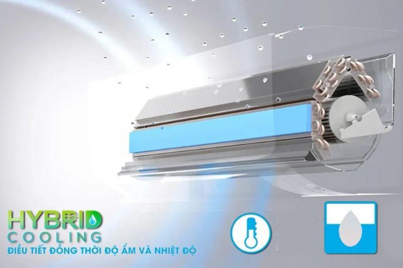 cân bằng độ ẩm