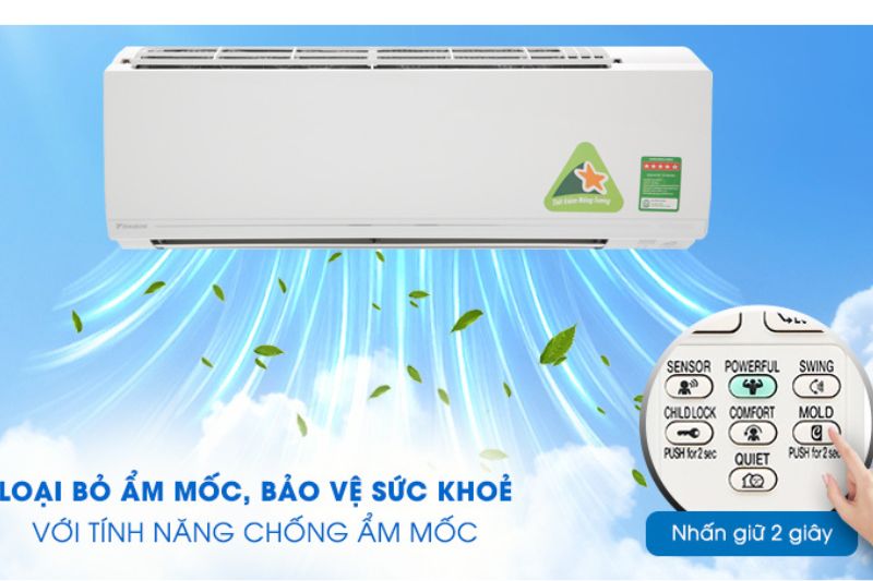 chống nấm mốc