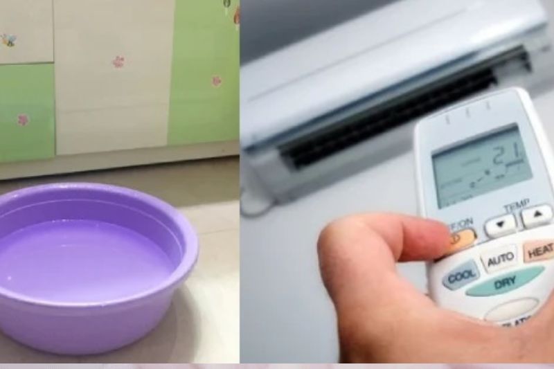 đặt chậu nước trong phòng
