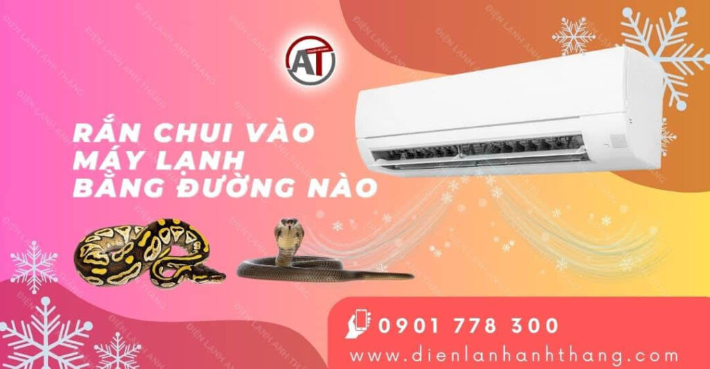 Giải Đáp Rắn Chui Vào Máy Lạnh Bằng Đường Nào Và Khắc Phục 2025 rắn chui vào máy lạnh bằng đường nào Điện lạnh Anh Thắng