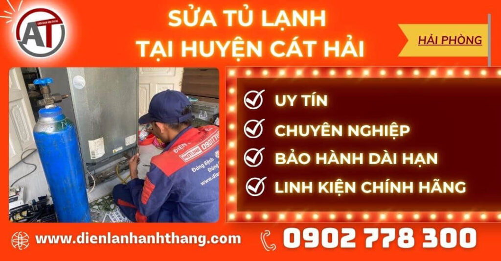 sua tu lanh tai huyen cat hai dien lanh anh thang