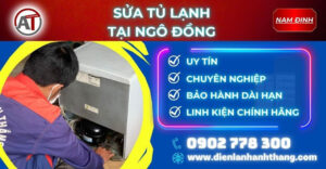 Sửa tủ lạnh tại Ngô Đồng Điện lạnh Anh Thắng