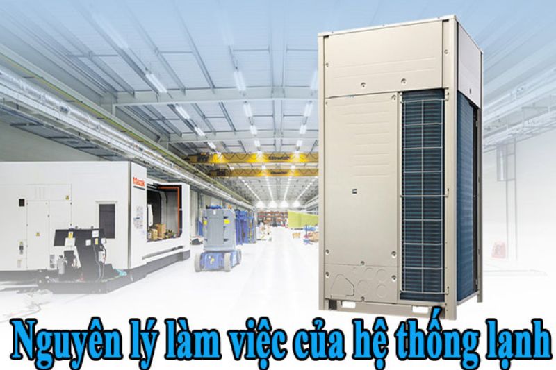 Nguyên Lý Máy Lạnh Công Nghiệp, Cấu Tạo Máy Lạnh Công Nghiệp 2025 nguyên lý máy lạnh công nghiệp