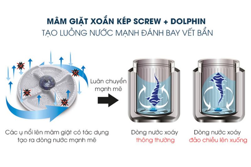 xoắn kép sharp
