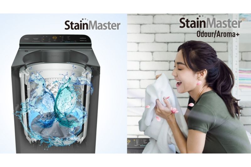stainmaster lồng đứng