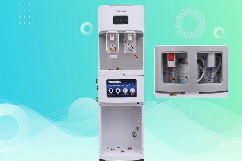 Tại Sao Cây Nước Nóng Lạnh Không Làm Lạnh Nước Và Cách Xử Lý 2026 con trung vao cay nuoc nong lanh