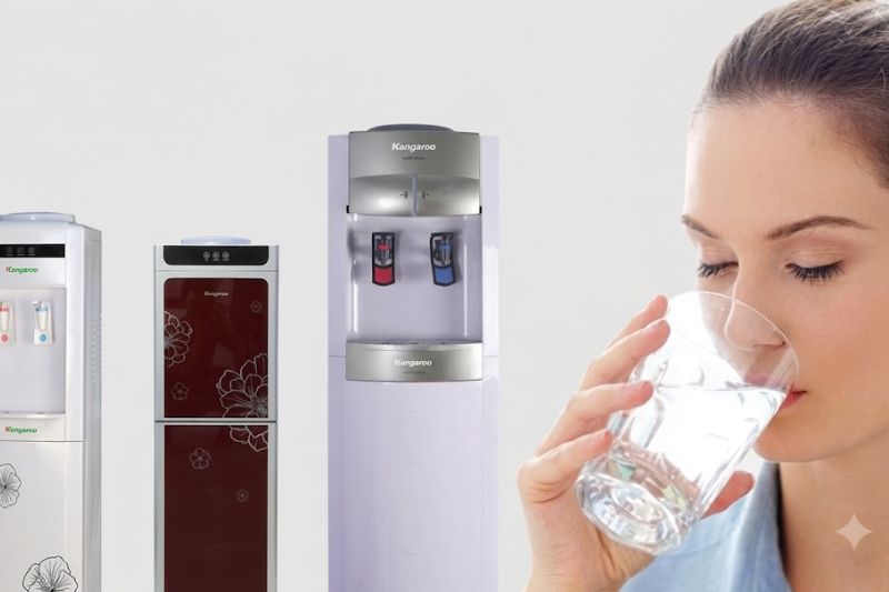 Cây Nước Nóng Lạnh Có Mùi Hôi: Nguyên Nhân Và Cách Khắc Phục 2026 nuoc hoi