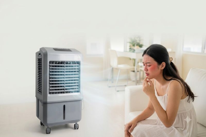 Quạt Hơi Nước Có Mùi Hôi: Nguyên Do Và Cách Khử Mùi Cho Quạt 2026 gio quat yeu