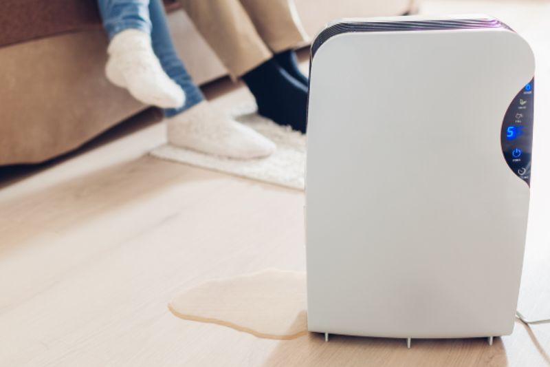Dấu Hiệu Máy Hút Ẩm Bị Rò Rỉ Nước Và Cách Xử Lý Hiệu Quả 2026 may hut am chay nuoc