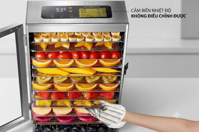 Máy Sấy Thực Phẩm Hỏng Thanh Nhiệt: Lý Do Và Cách Khắc Phục 2026 may say khong chinh nhiet duoc